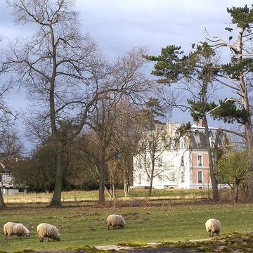 Château de Boulémont